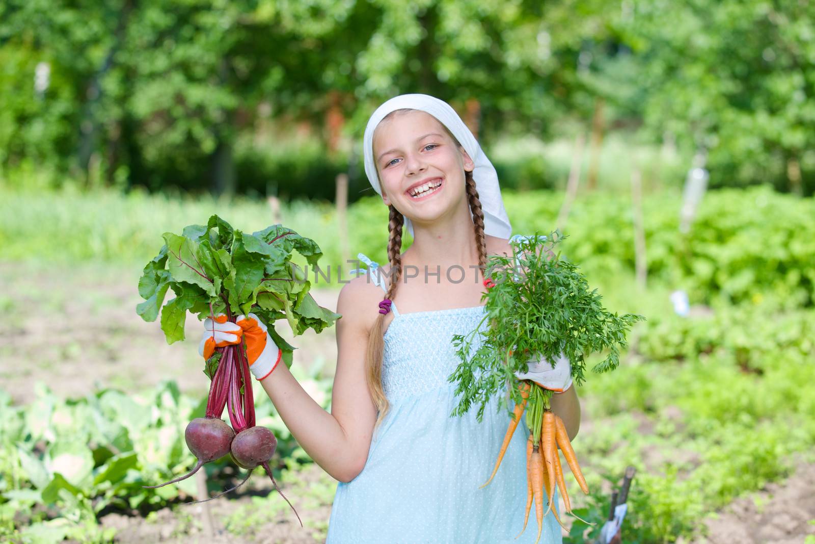Vegetable garden - little gardener with bunch of organic carrots and beets