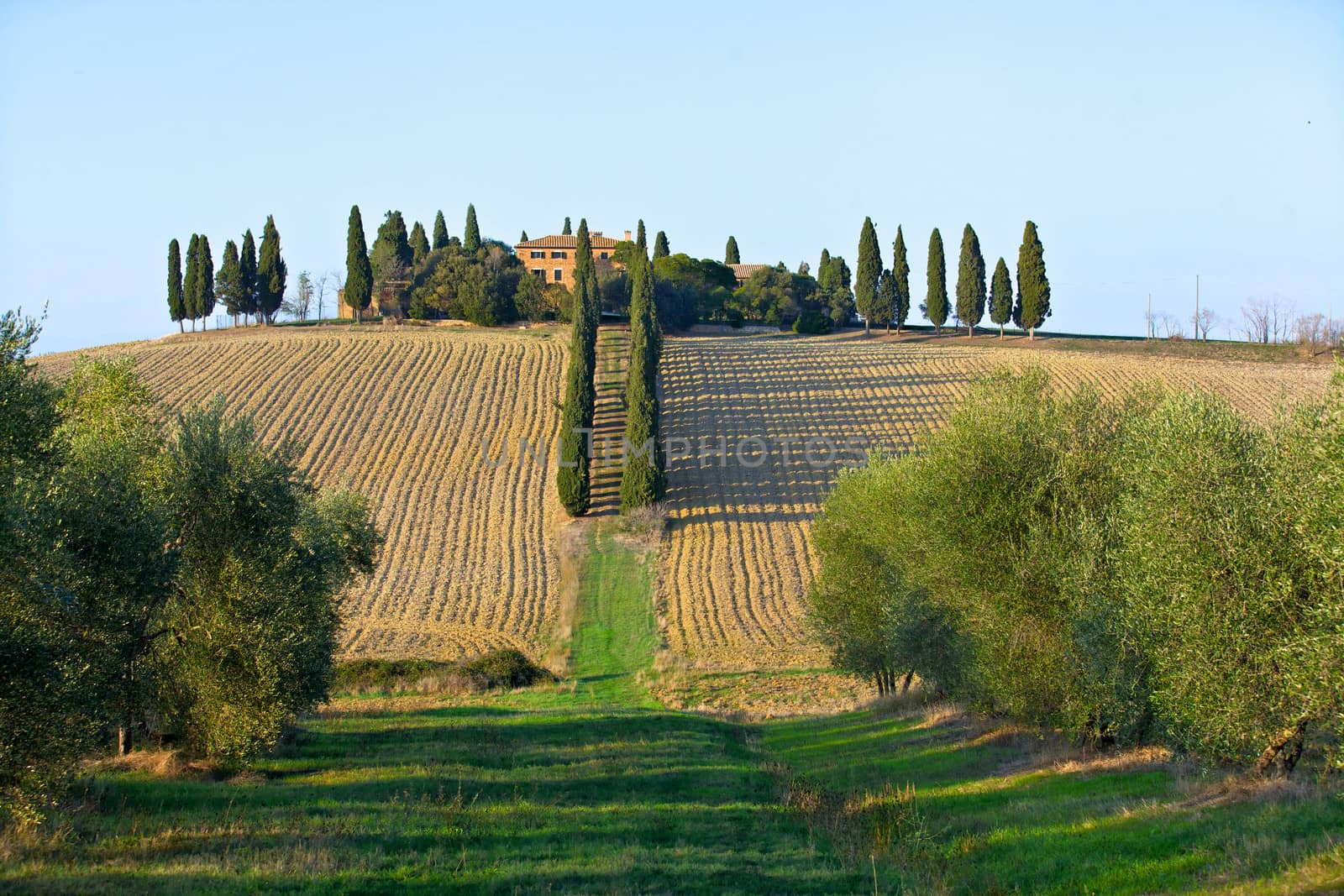 Landscape in tuscany. by maxoliki