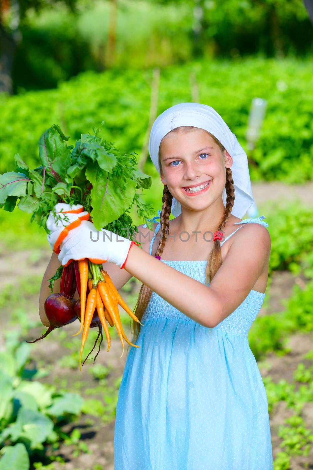 Vegetable garden - little gardener with bunch of organic carrots and beets. Vertical view