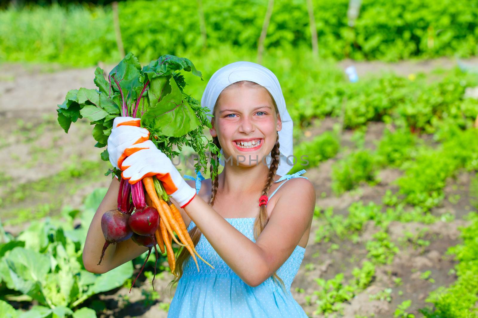 Vegetable garden - little gardener with bunch of organic carrots and beets