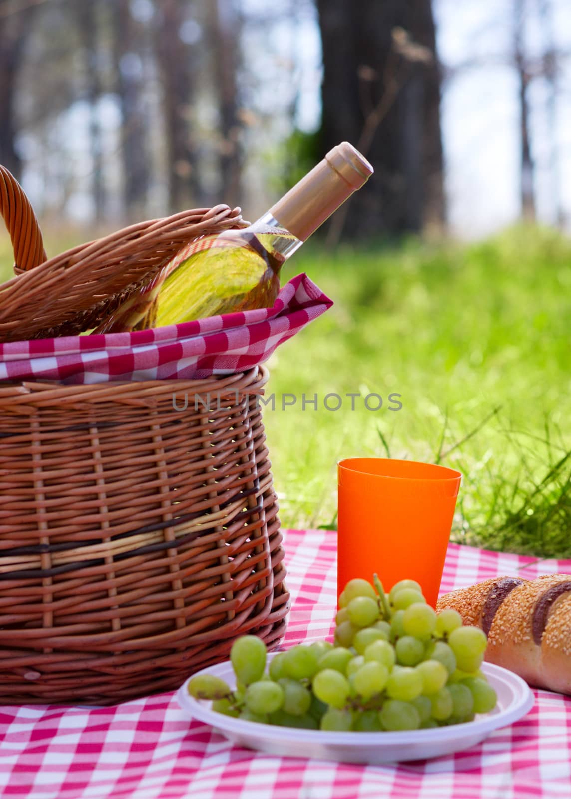 Picnic basket with wine bottle and grape at lawn