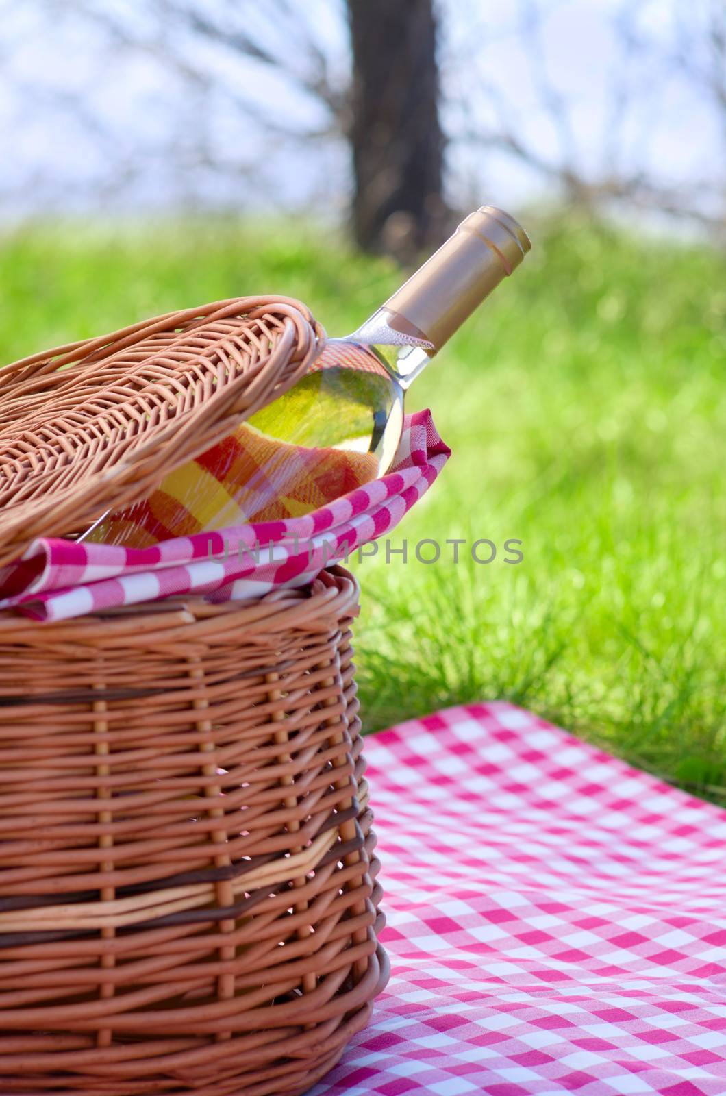 Picnic basket with bottle of wine in the woods
