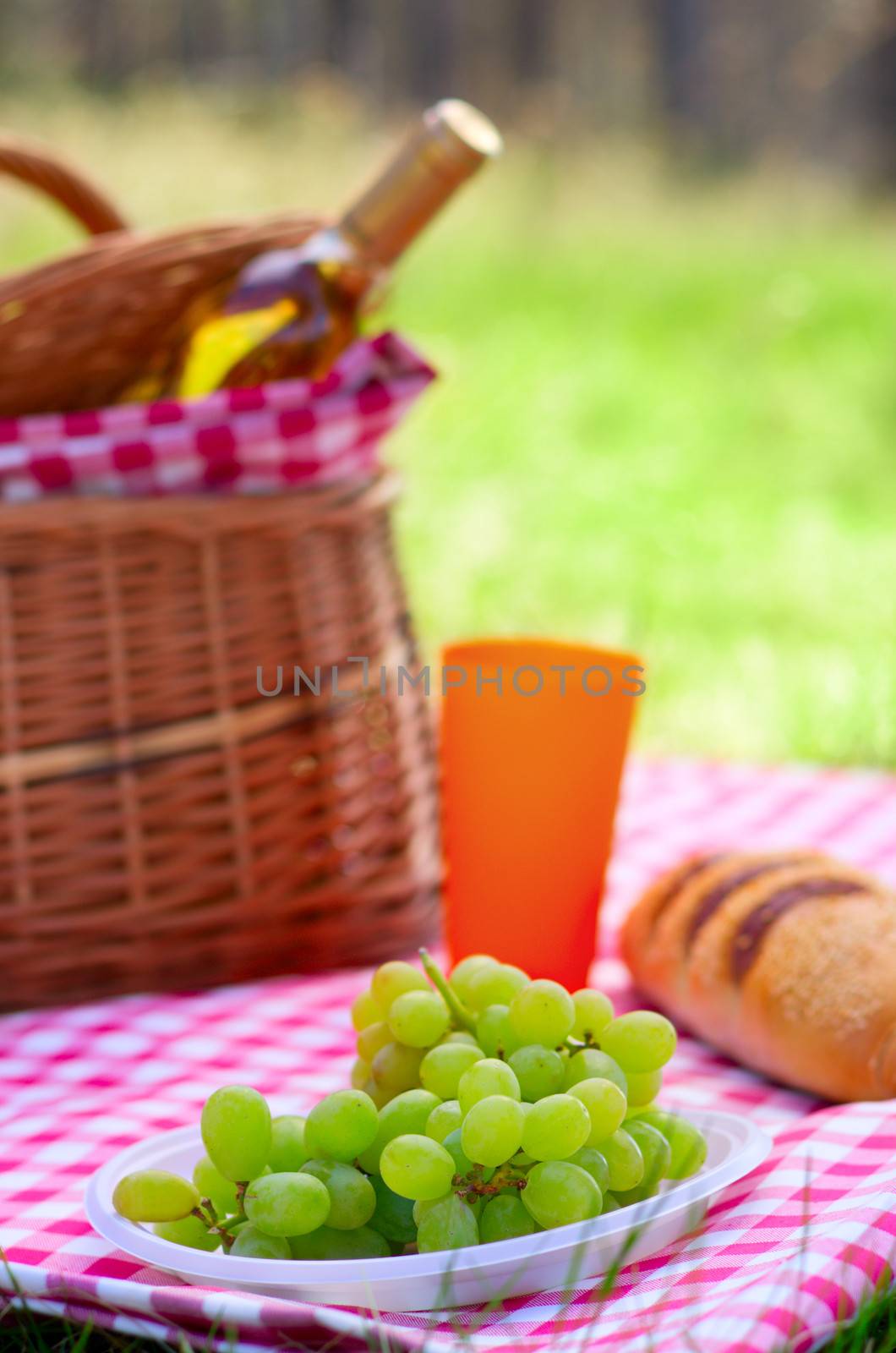 Picnic basket with bottle of wine and food in the woods