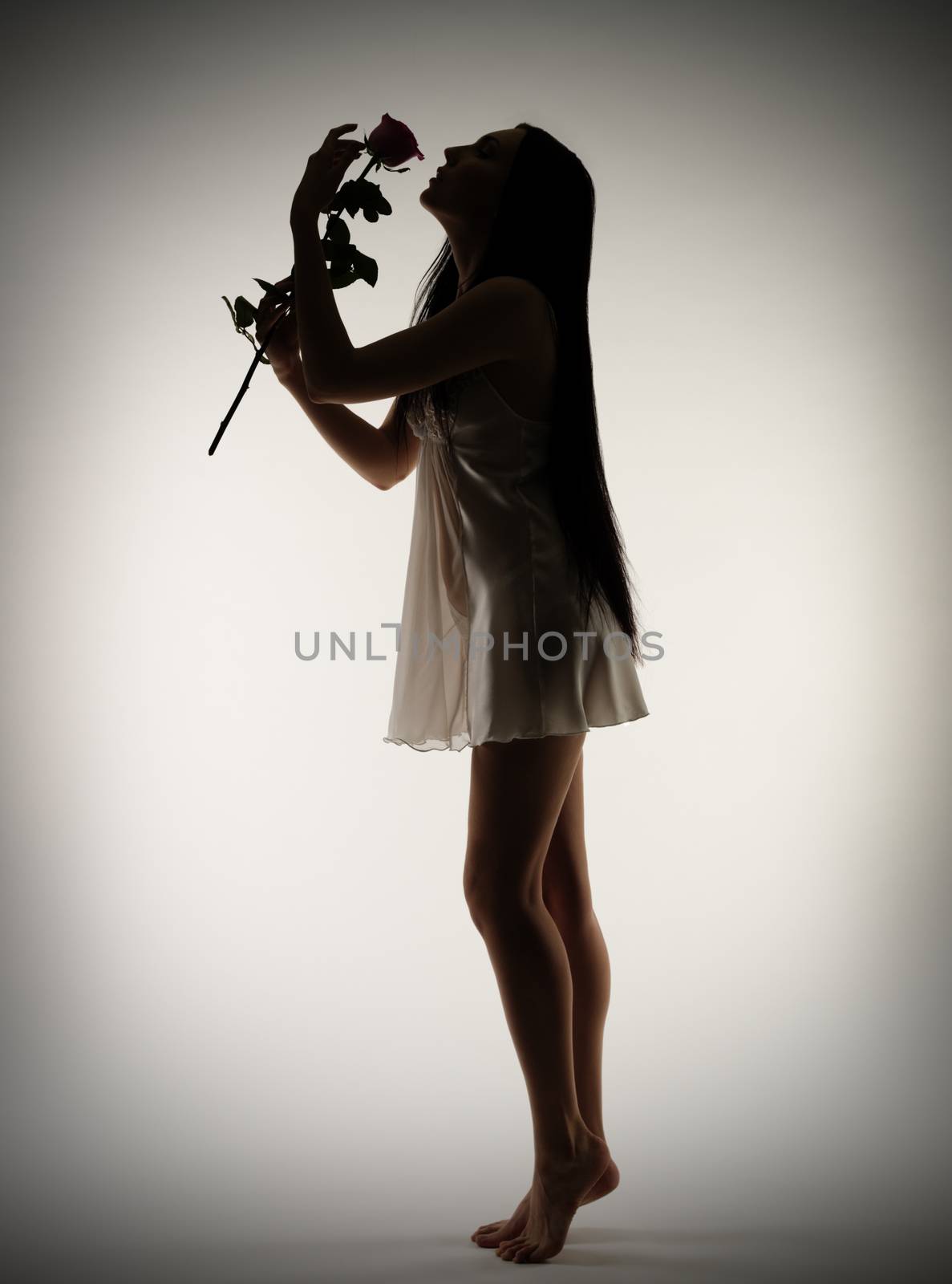 Silhouette of young girl with rose flower on gray background