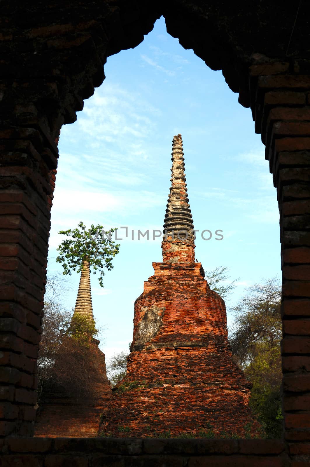 Ancient buddhist wat in Ayutthaya, Thailand
