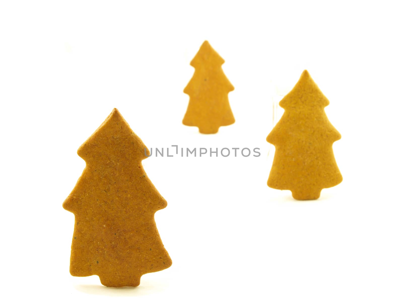 Gingerbread trees by Arvebettum