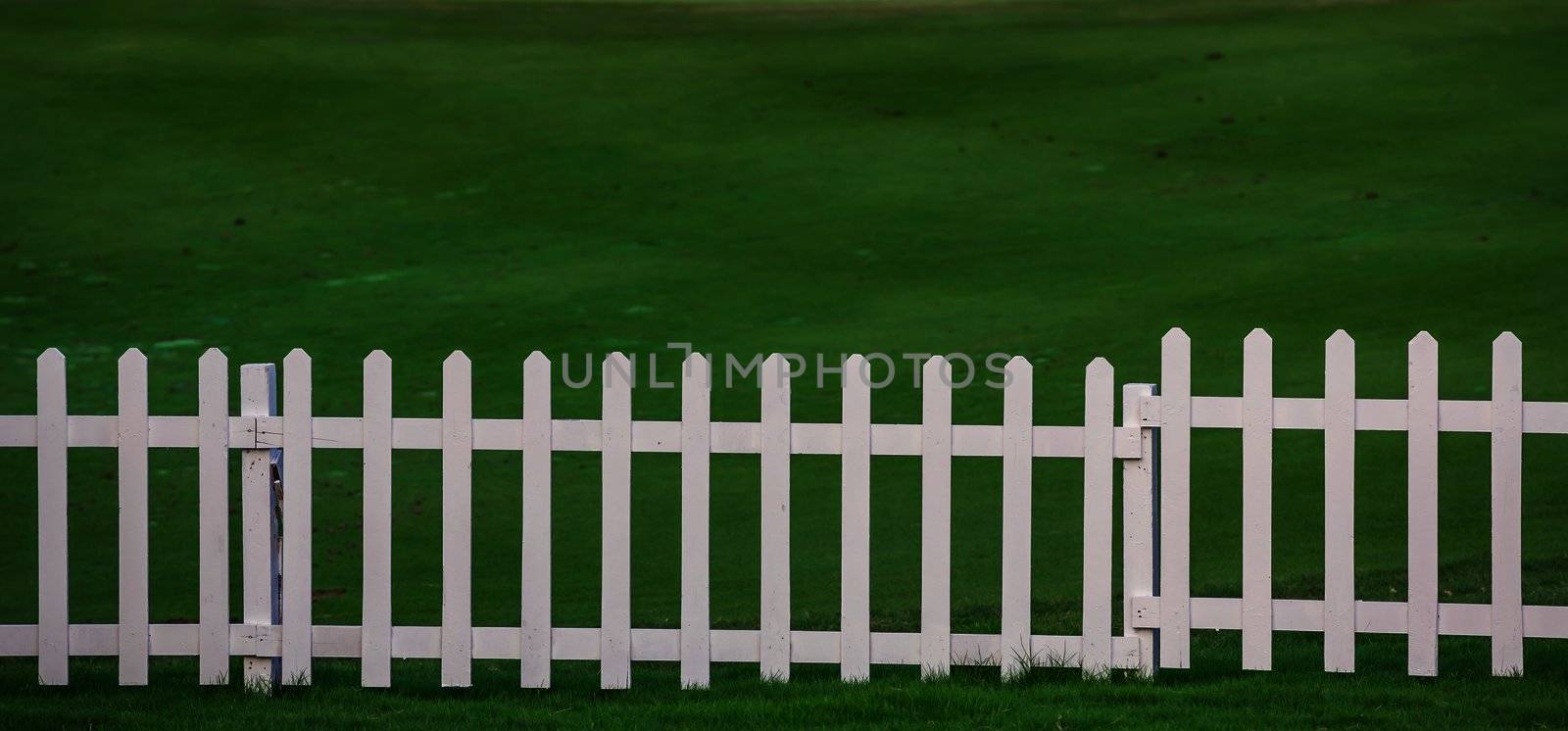 Lawn and fence by smuay