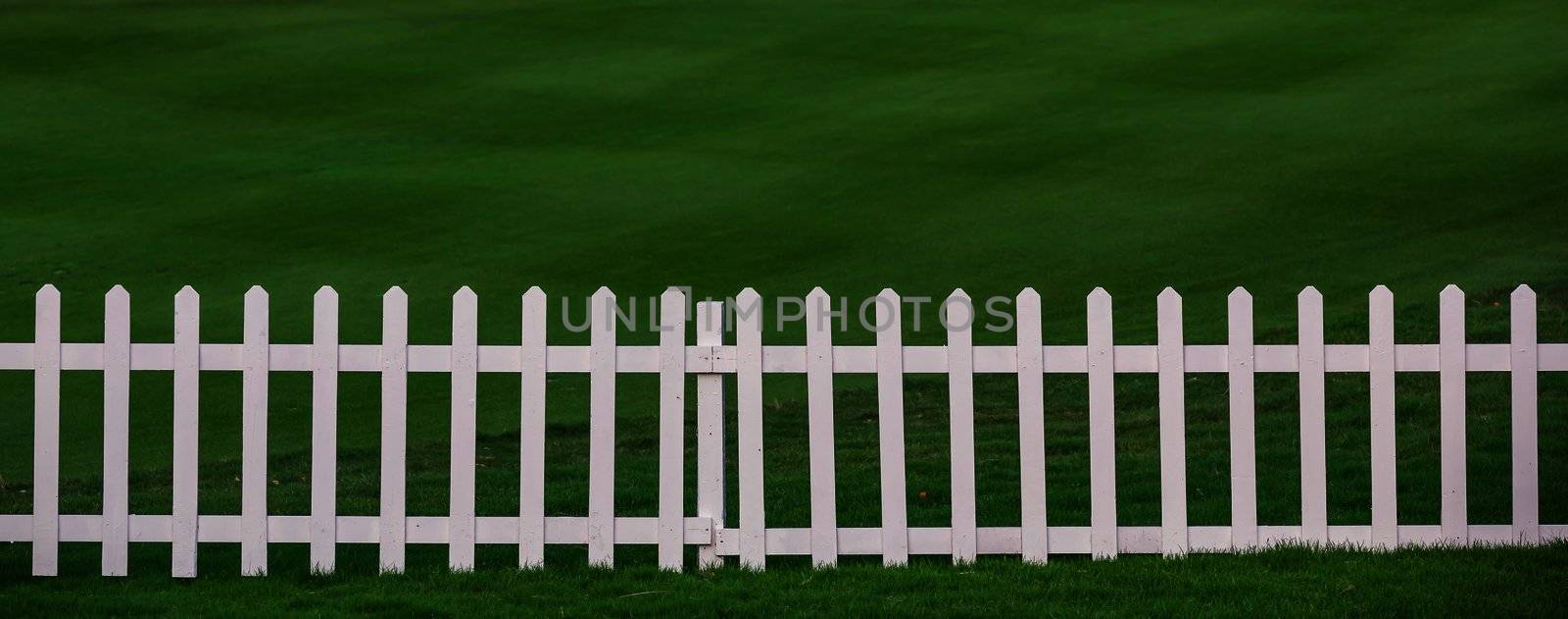 Green lawn and white wood fence