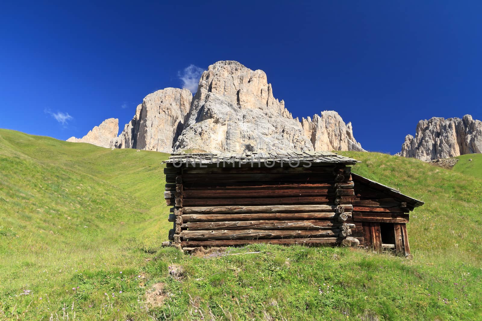 	barn beneath Sassolungo mount, Fassa Valley, Trentino, Italy