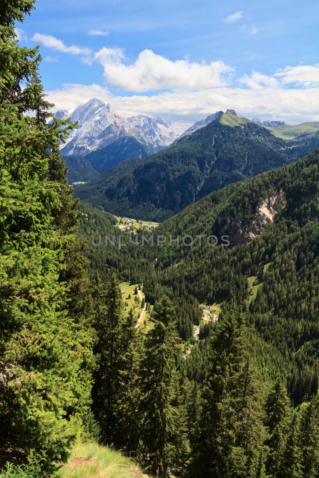 view from Val Duron, wild alpine valley in Trentino, Italy