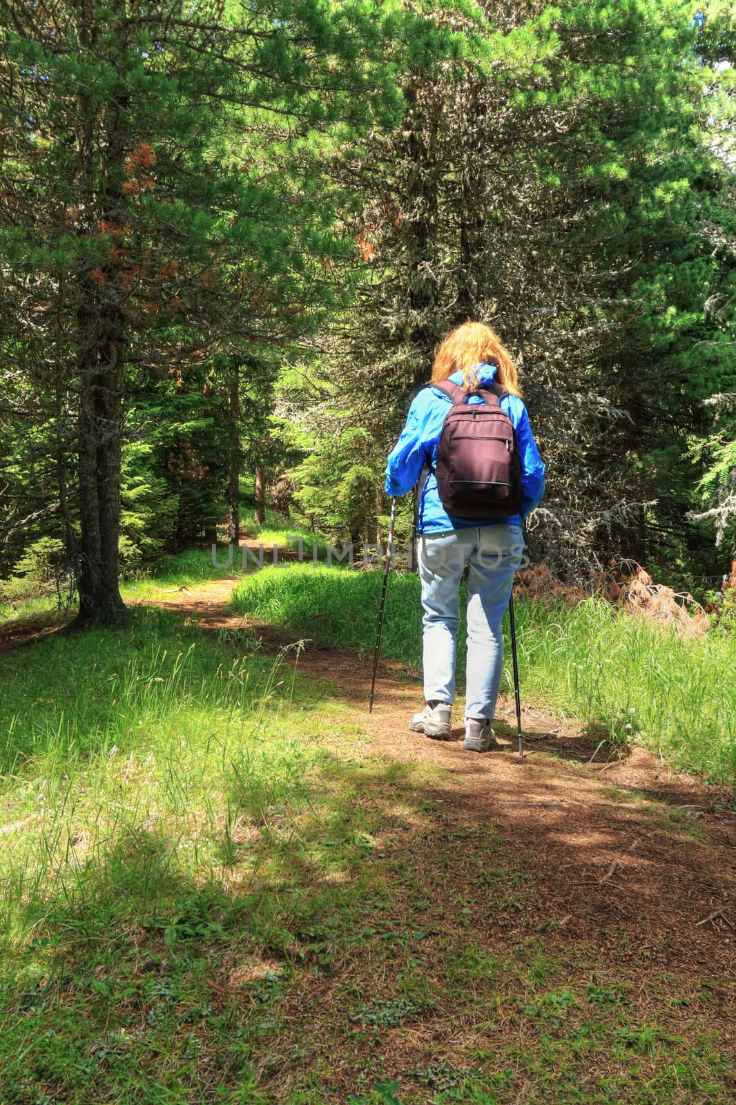 female hiker is walking on trail in the woods