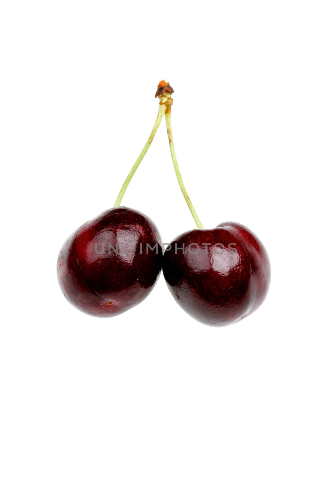 Cherries