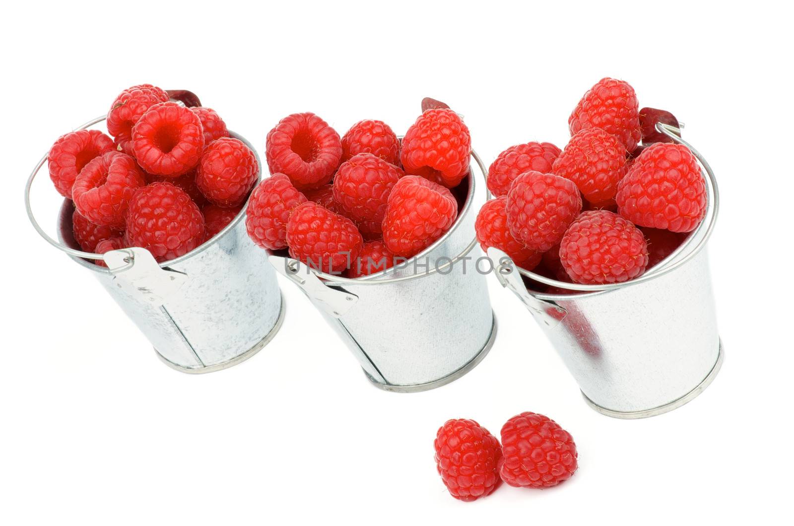 Three Tin Buckets with Perfect Ripe Raspberries In a Row isolated on white background