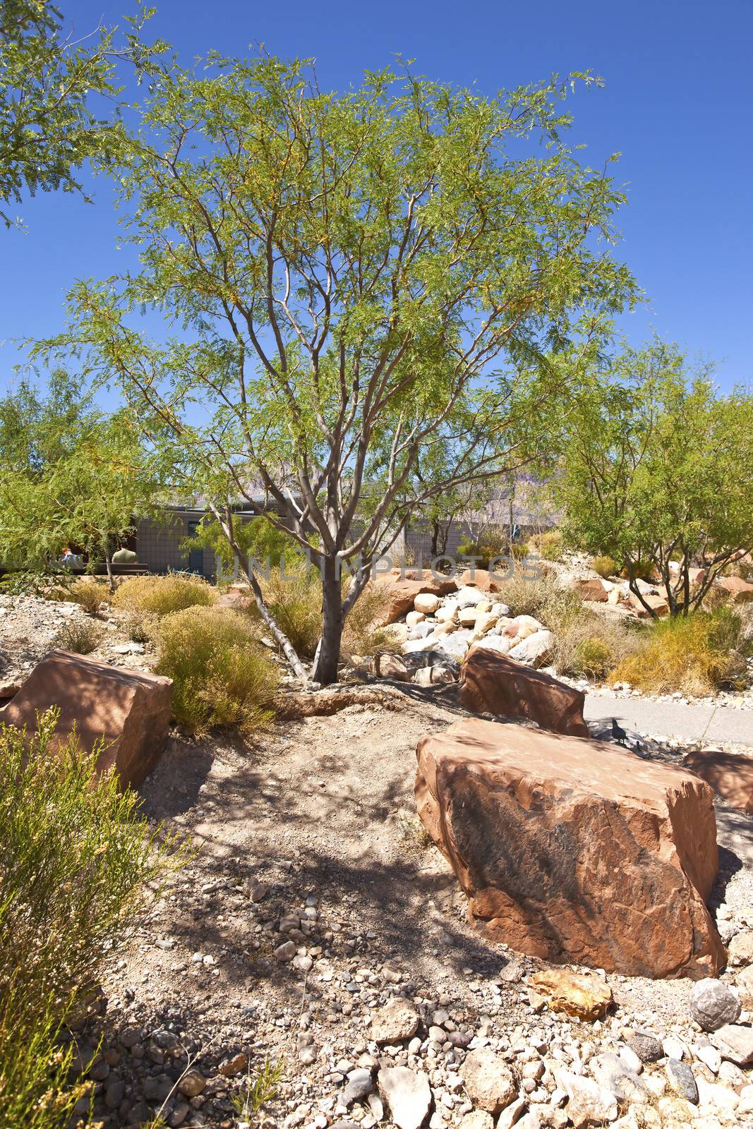 Red Rock Canyon visitor center Nevada.