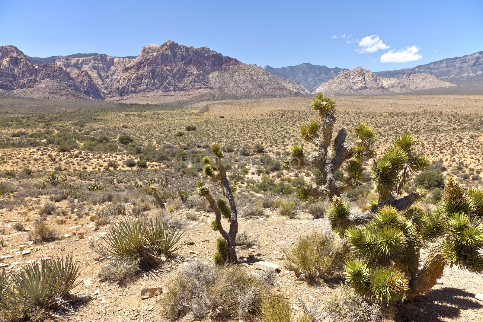 Red Rock Canyon near Las Vegas Nevada.