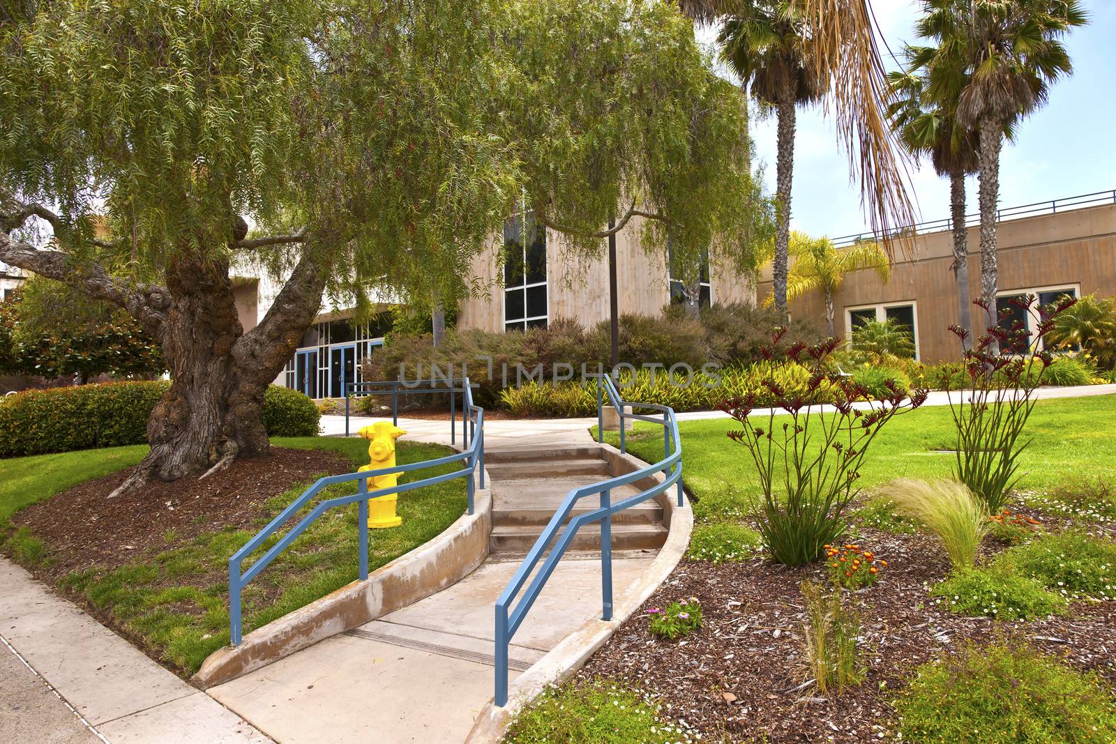 Architecture and park Point Loma Nazarene University california.