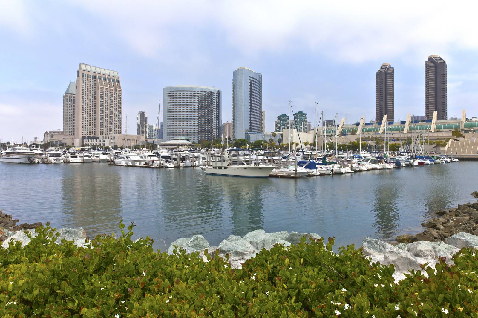 San Diego downtown marina and skyline buildings.