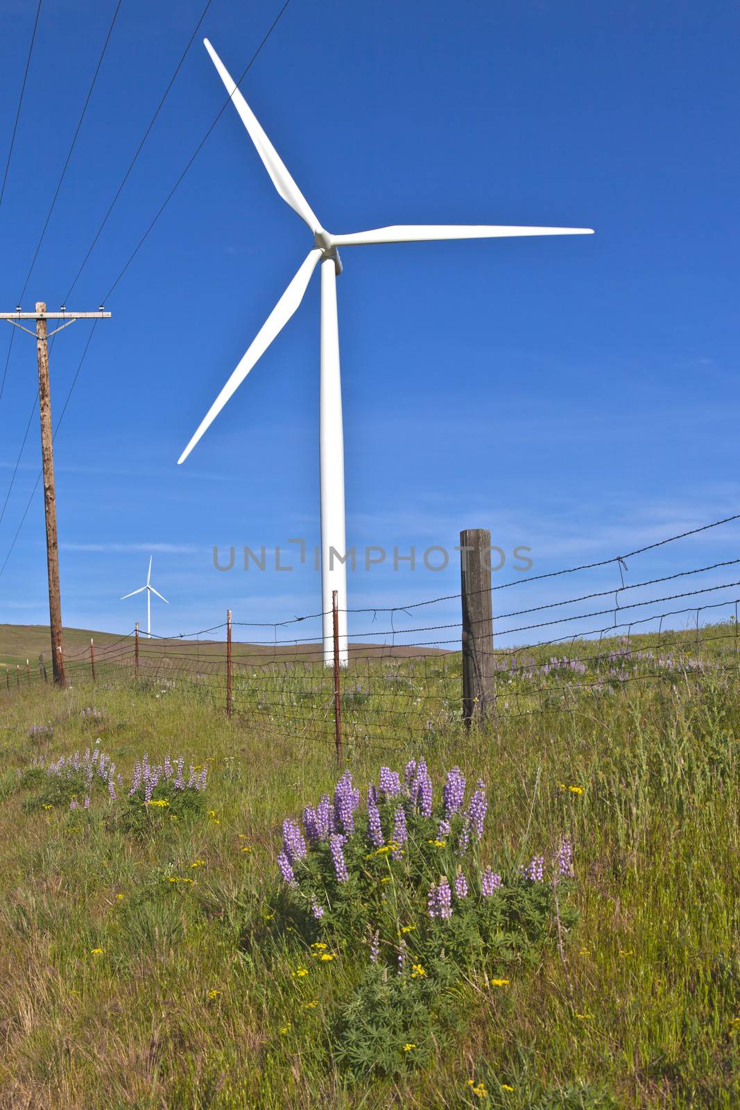 Wind turbines creating energy on a hillside in Eastern Washington.