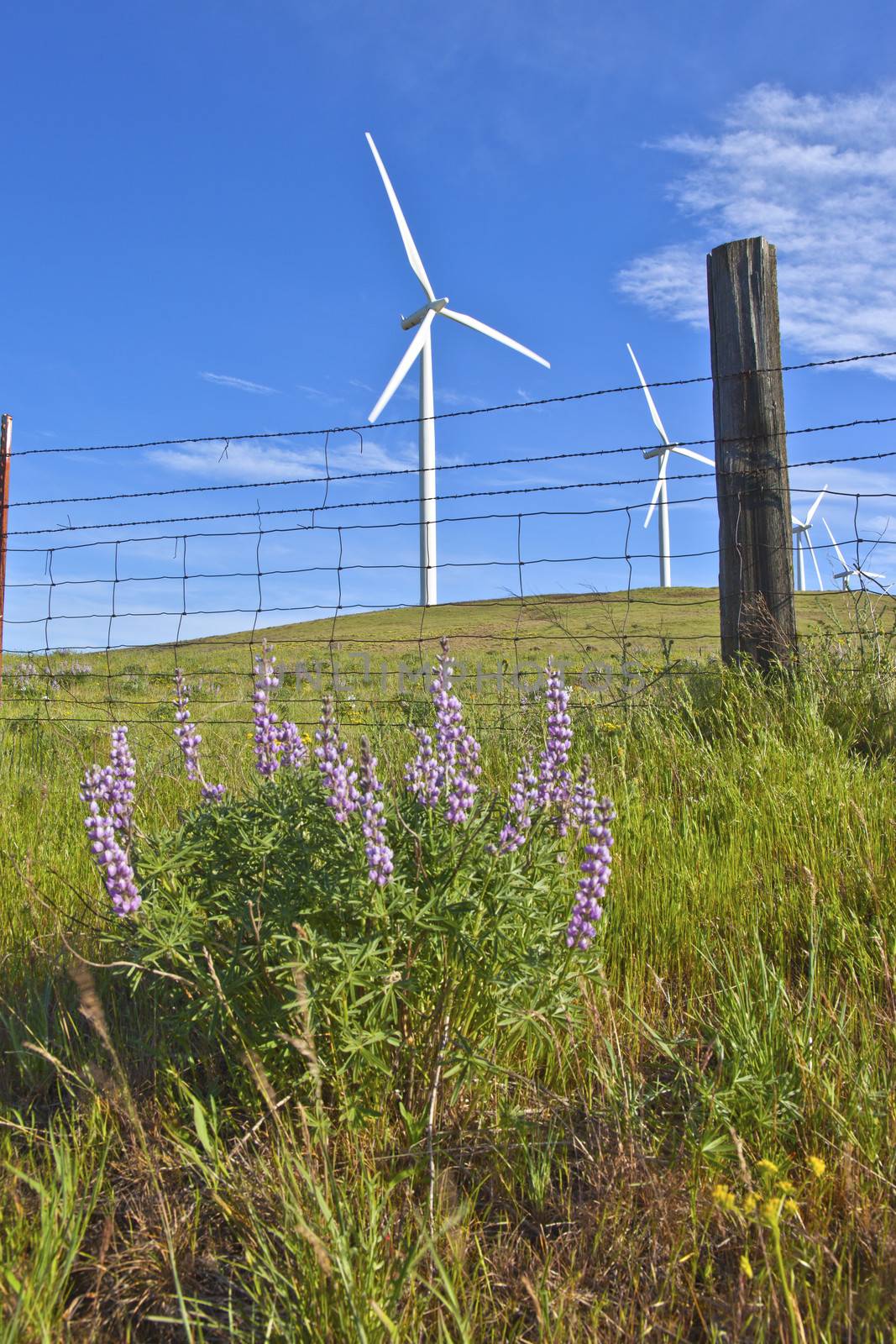 Wind power Eastern Washington. by Rigucci