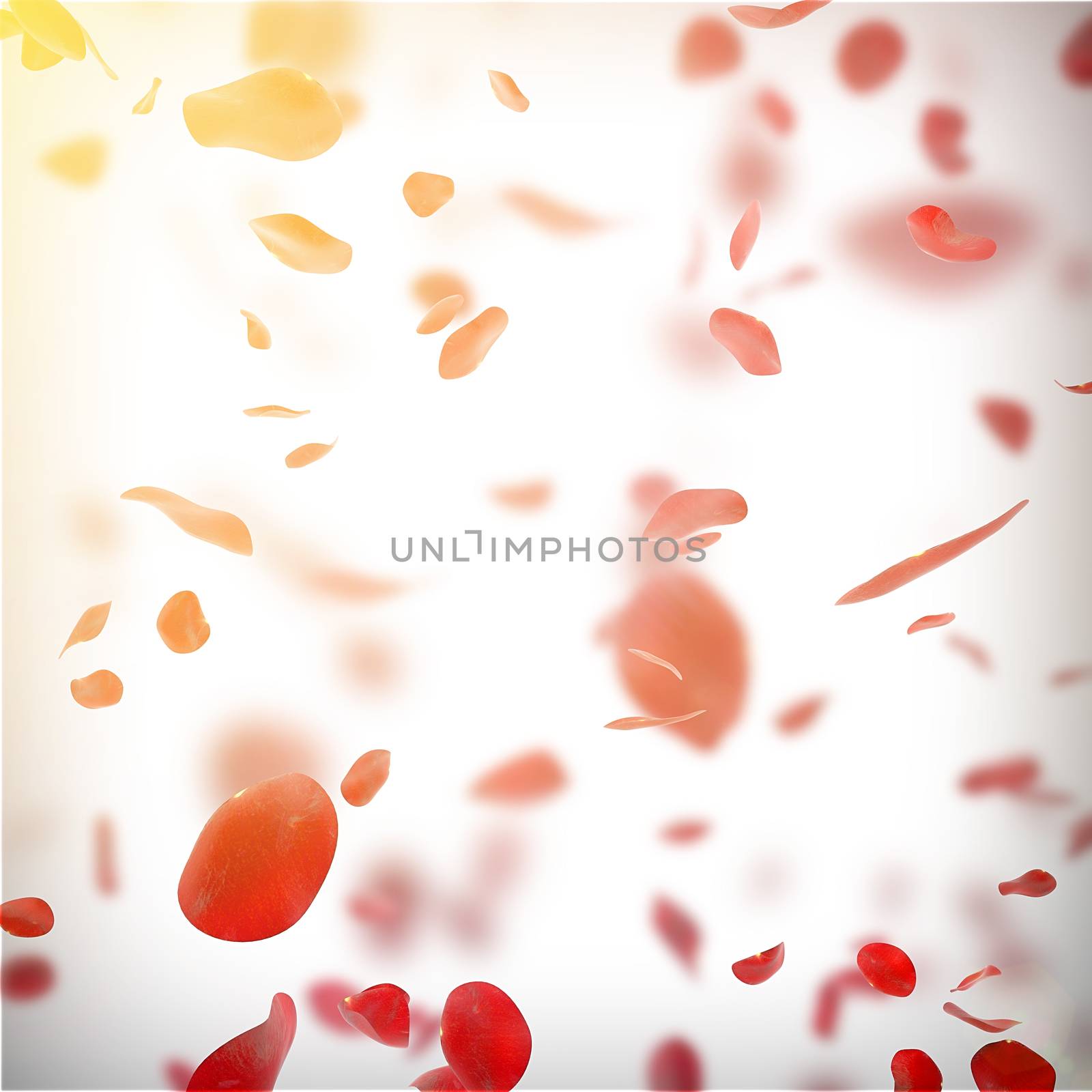 Falling rose petals background with glowing sun by 123dartist