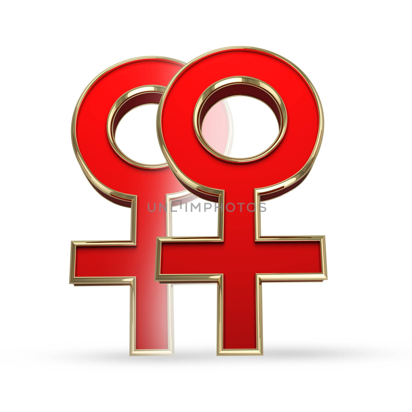 Lesbian sex symbol isolated on white background with clipping path