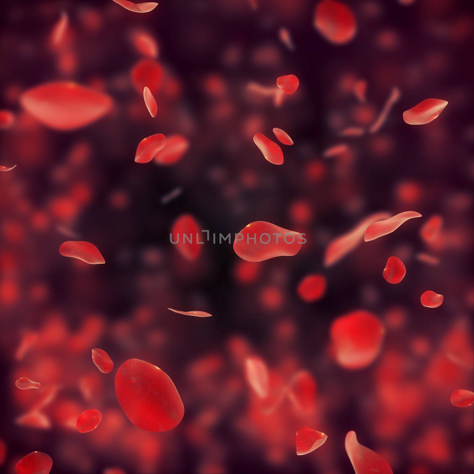 Falling red rose petals on dark background  by 123dartist