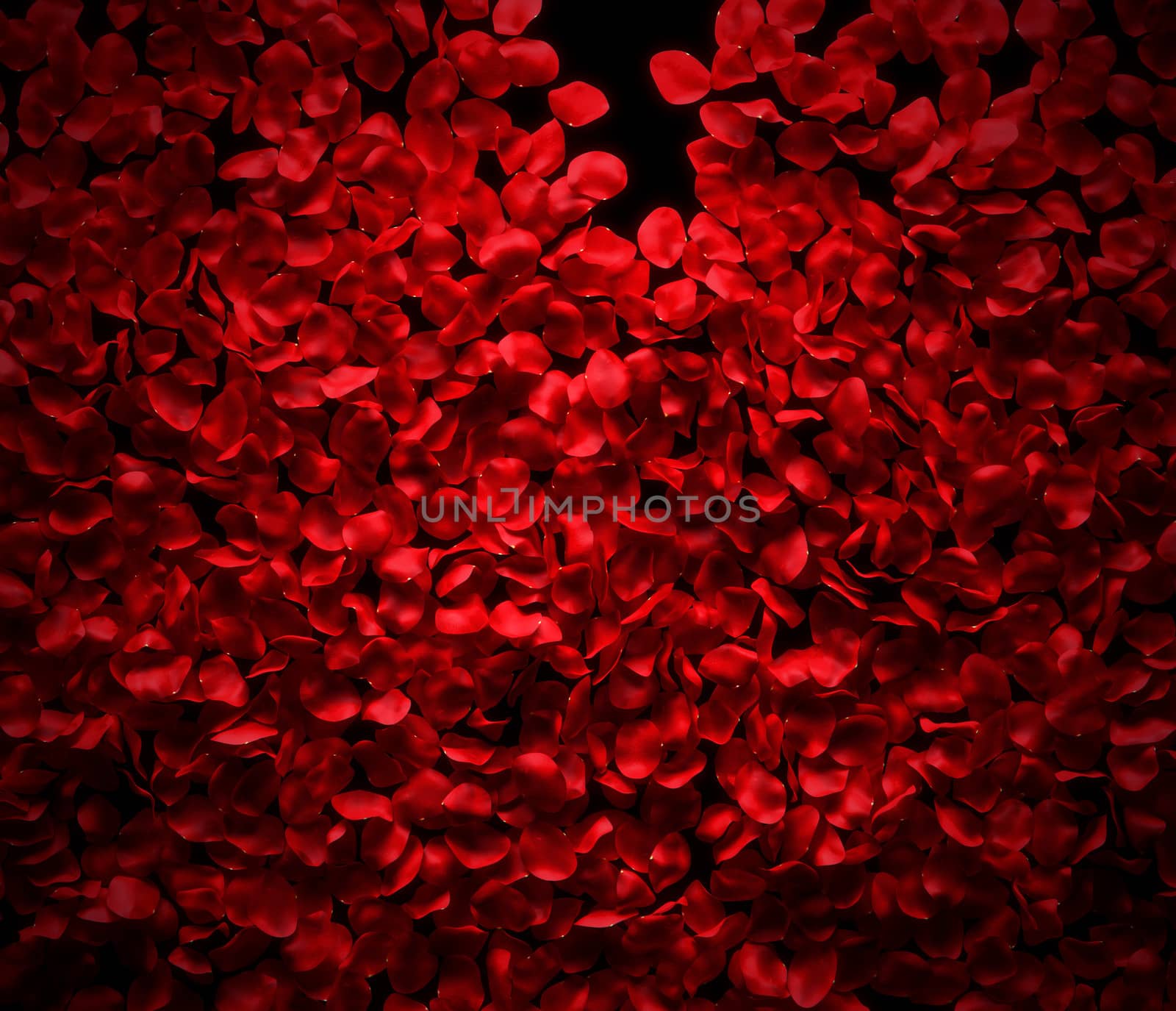 Rose petals background by 123dartist