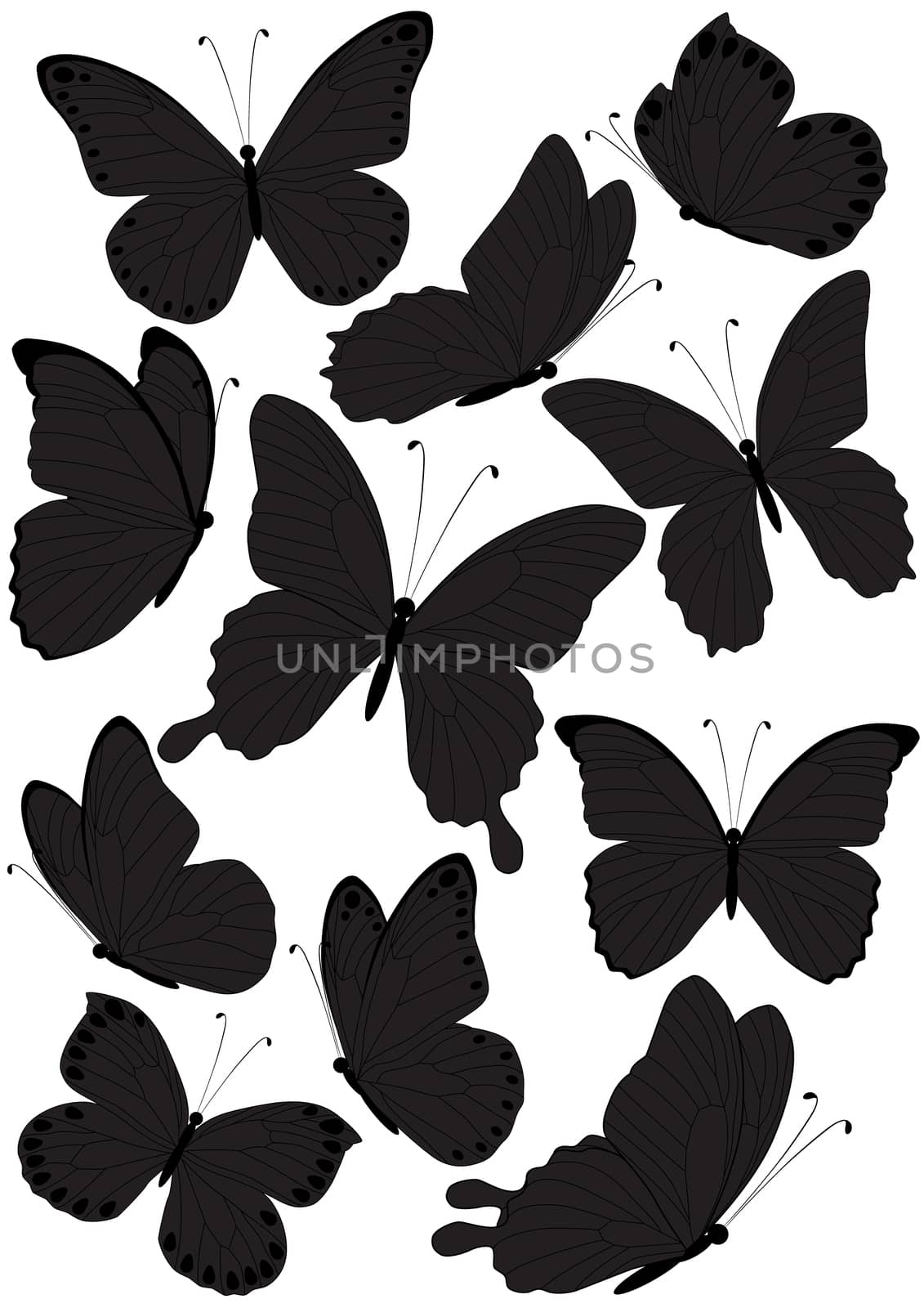 set of silhouette butterflies isolated on white background