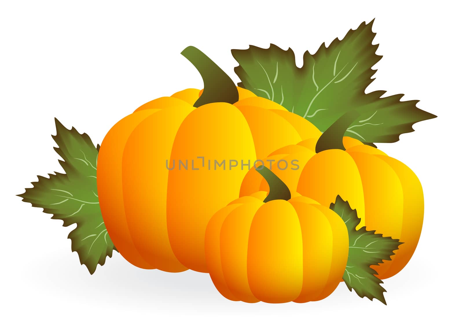 pumpkin by rodakm
