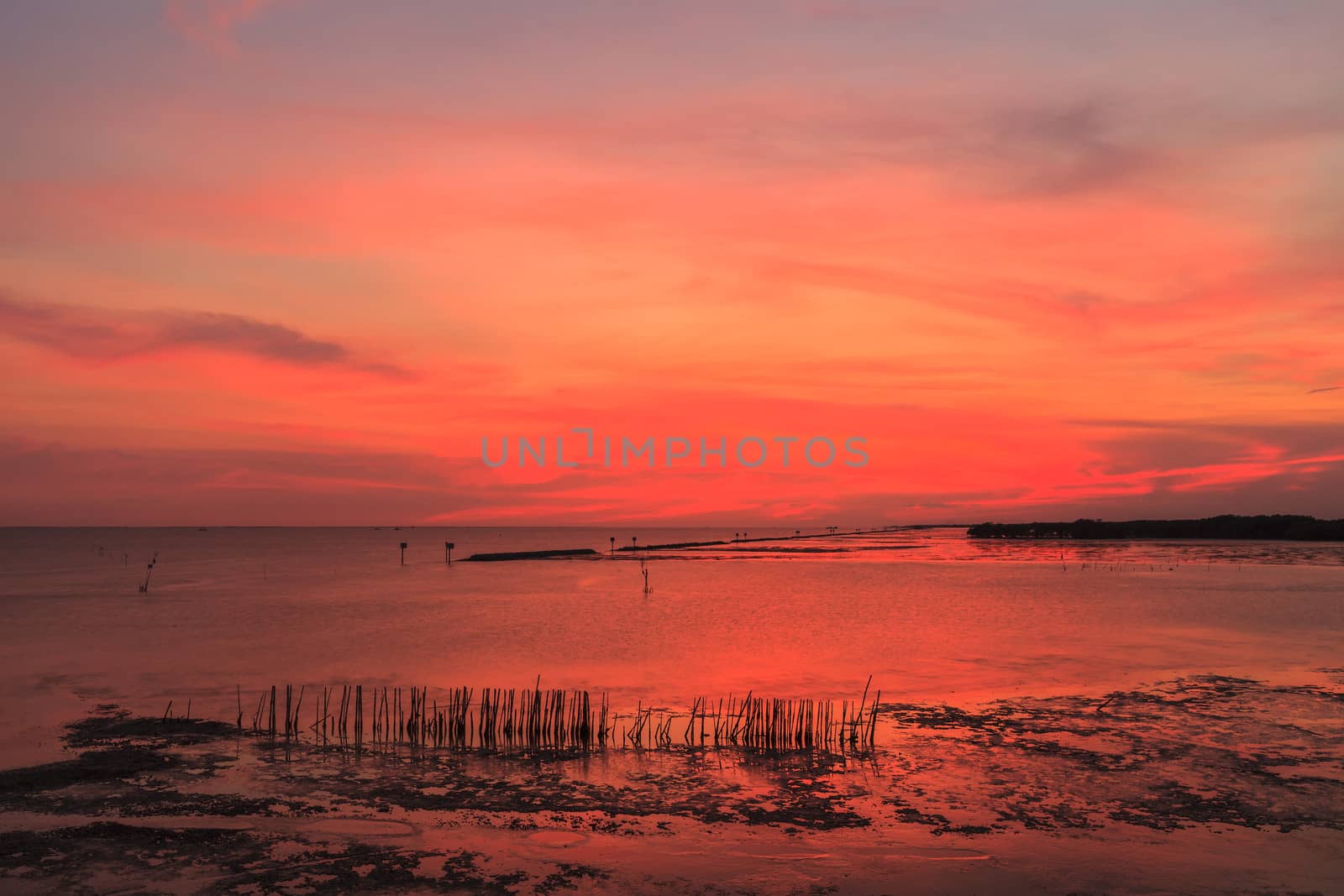 Beautiful sunset in the sea