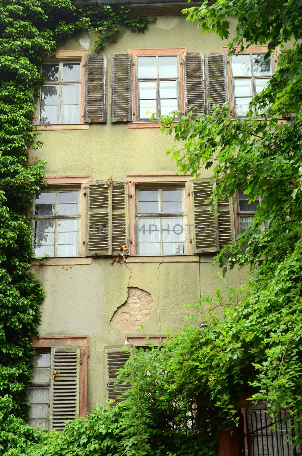 An Overgrown Derelict House In Europe With Shutters