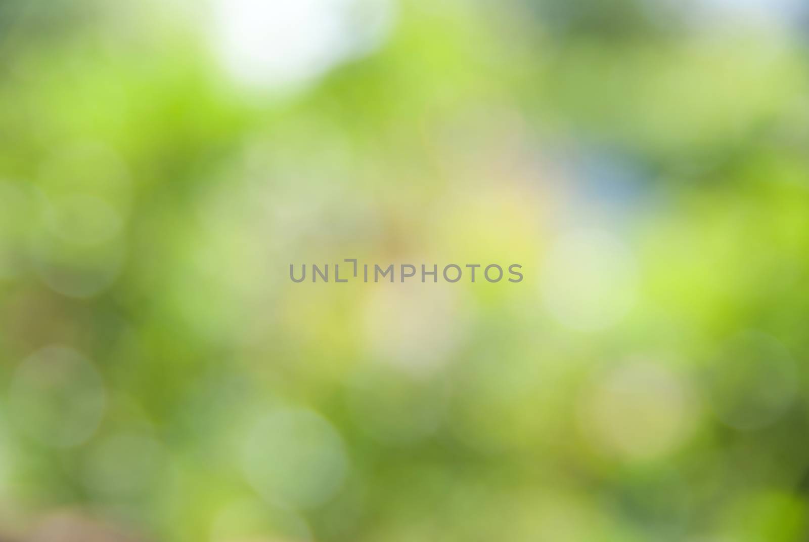 yellow green bokeh abstract light background by Zhukow