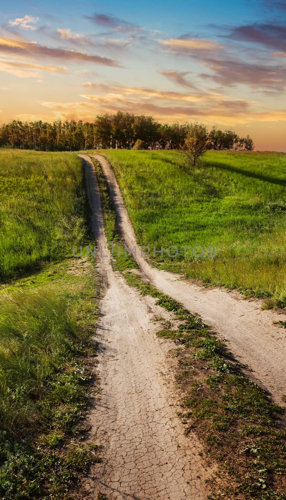 Country road at sunset in the field by oleg_zhukov