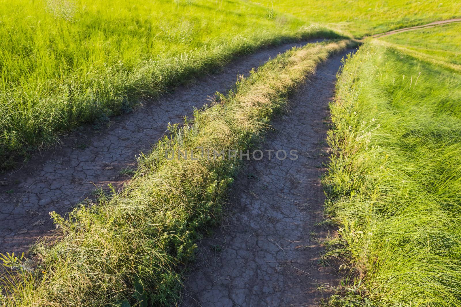 Country road at sunset in the field by oleg_zhukov