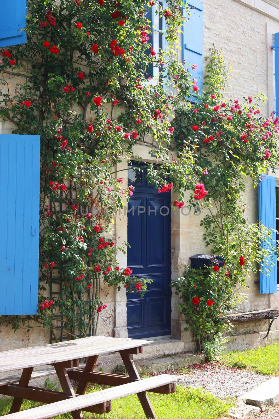 Pretty house covered in flowers by phovoir