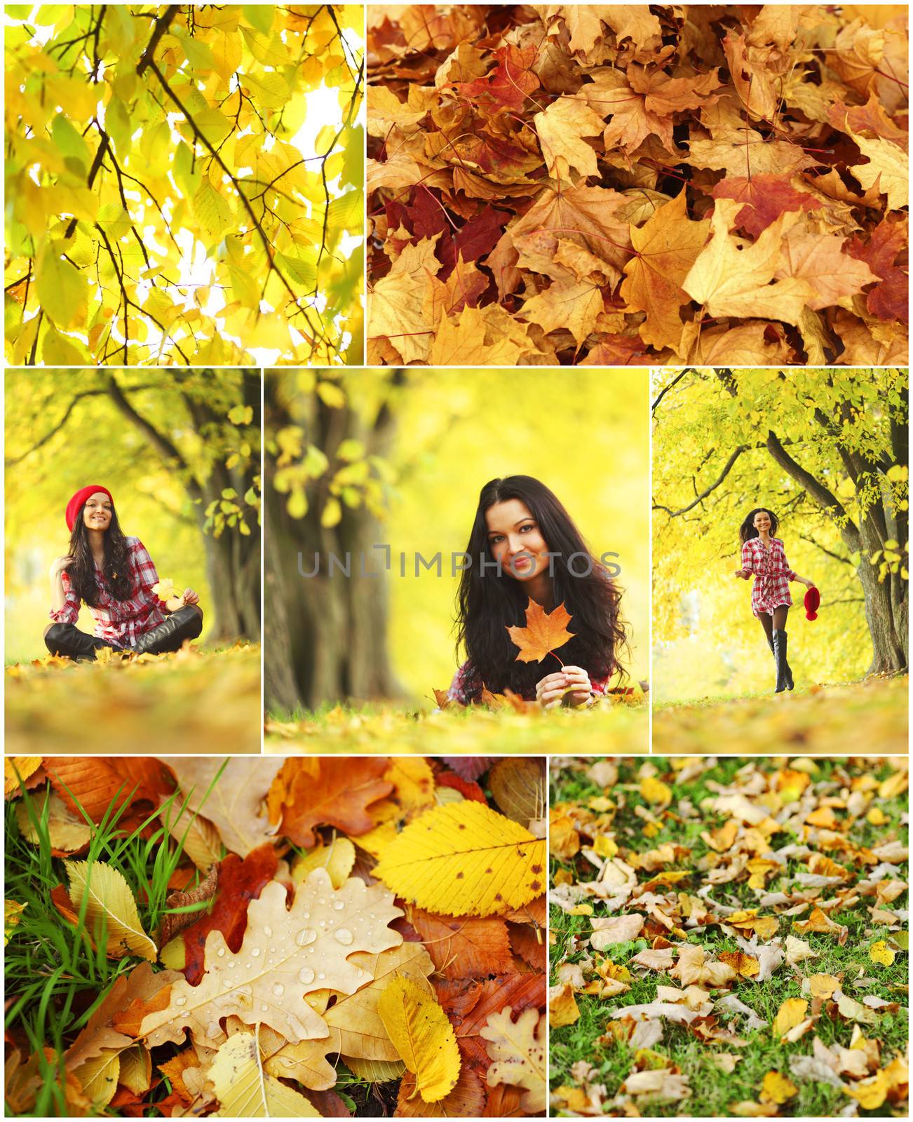 woman in autumn park photo collect
