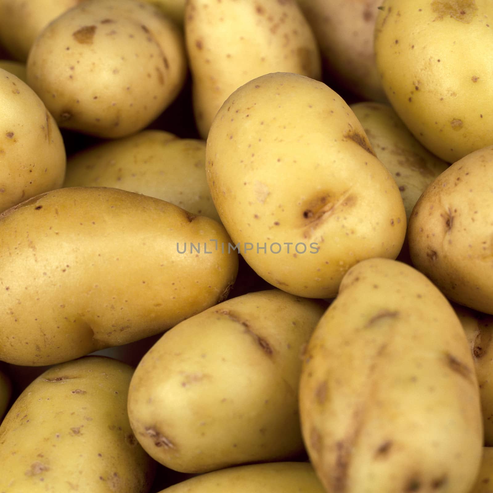 New Jersey Potatoes by Whiteboxmedia