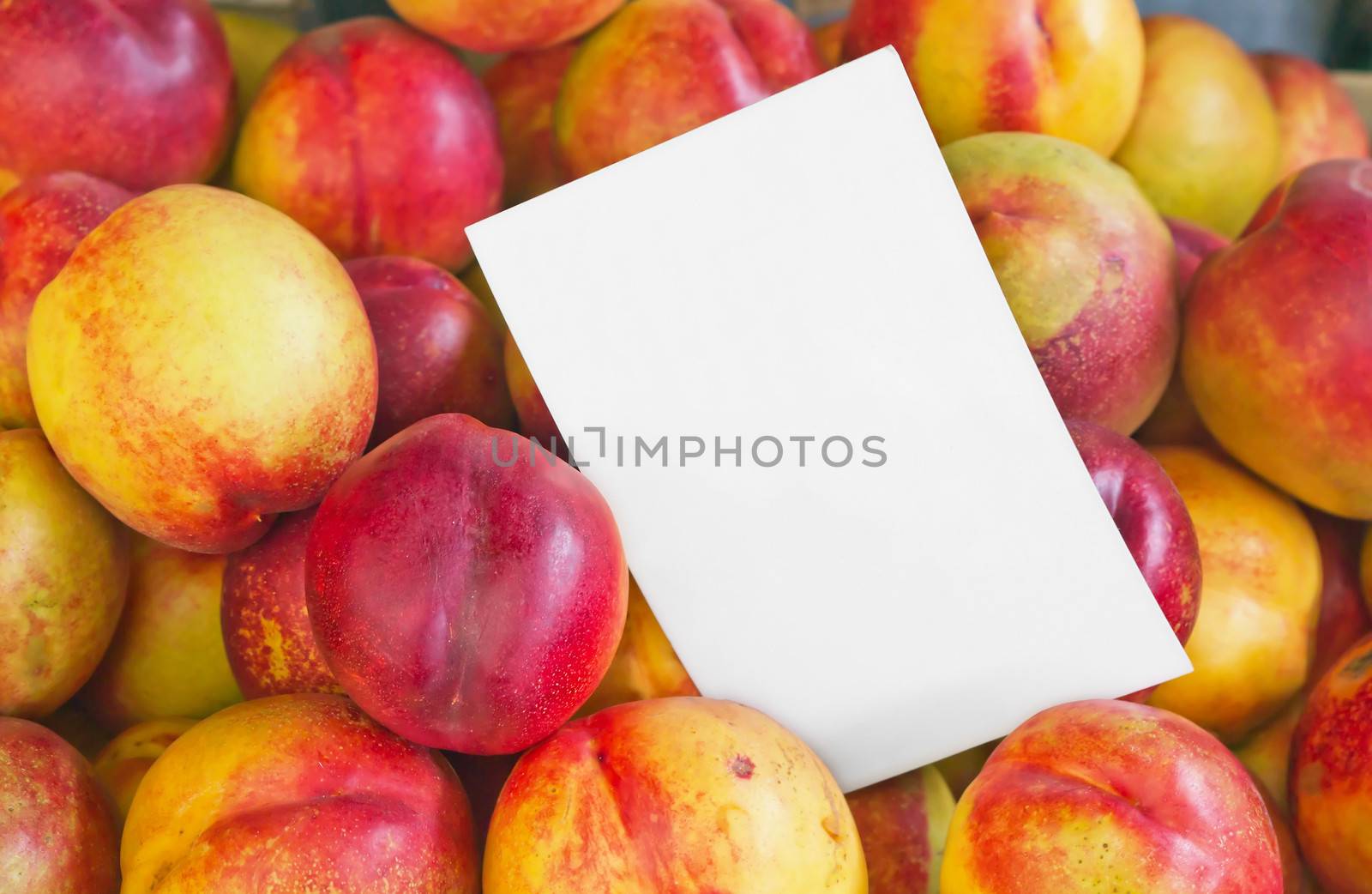 Colorful Nectarine Fruits with Blank Price Tag on a Farmers Market, horizontal shot