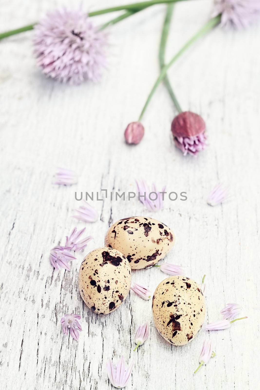 Quail Eggs and Fresh Chives by StephanieFrey