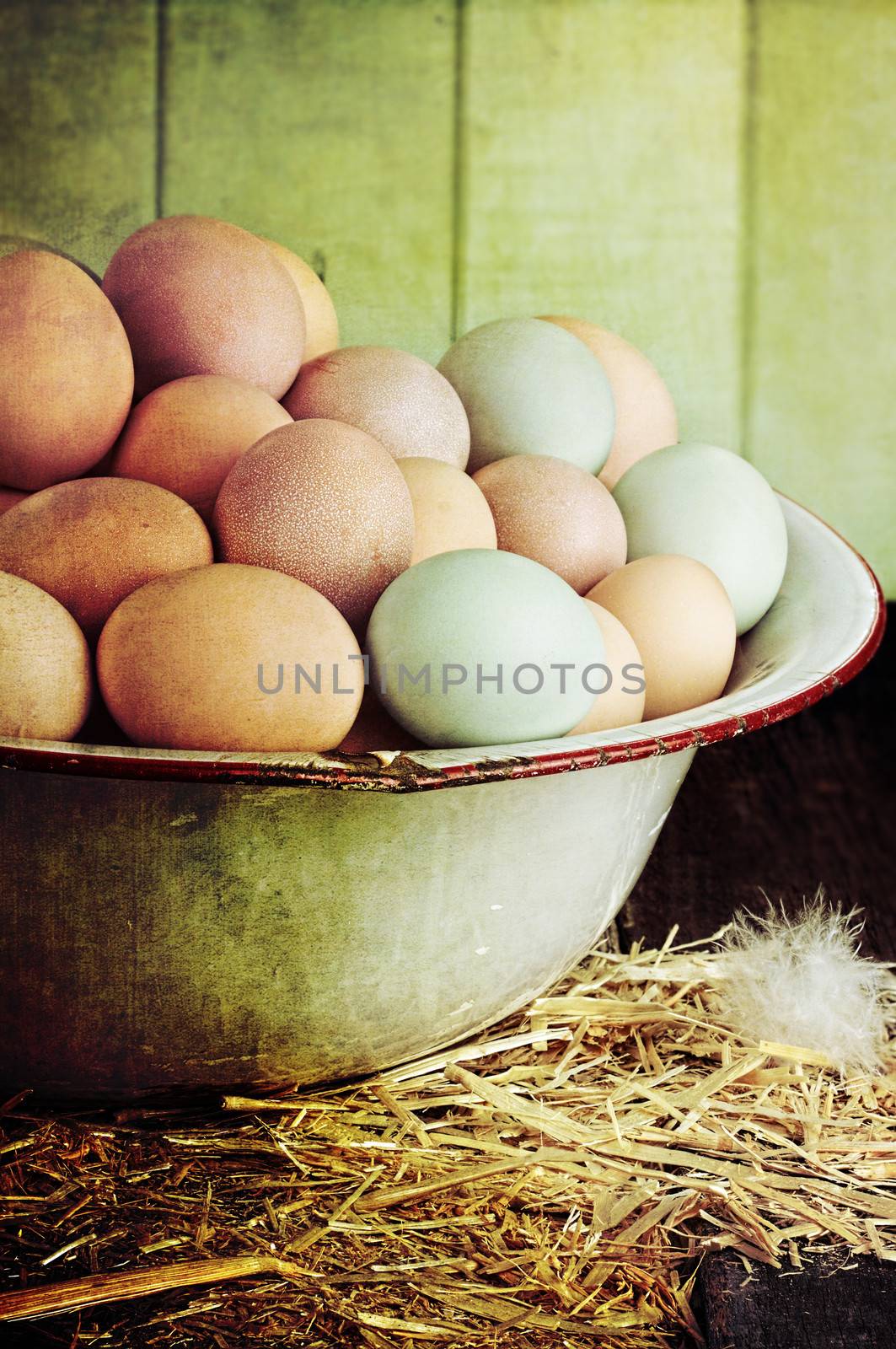 Textured image of an antique wash pan filled with colorful fresh farm raised eggs against a rustic background.