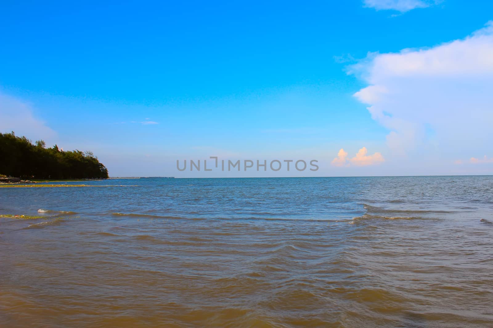 beach and tropical sea