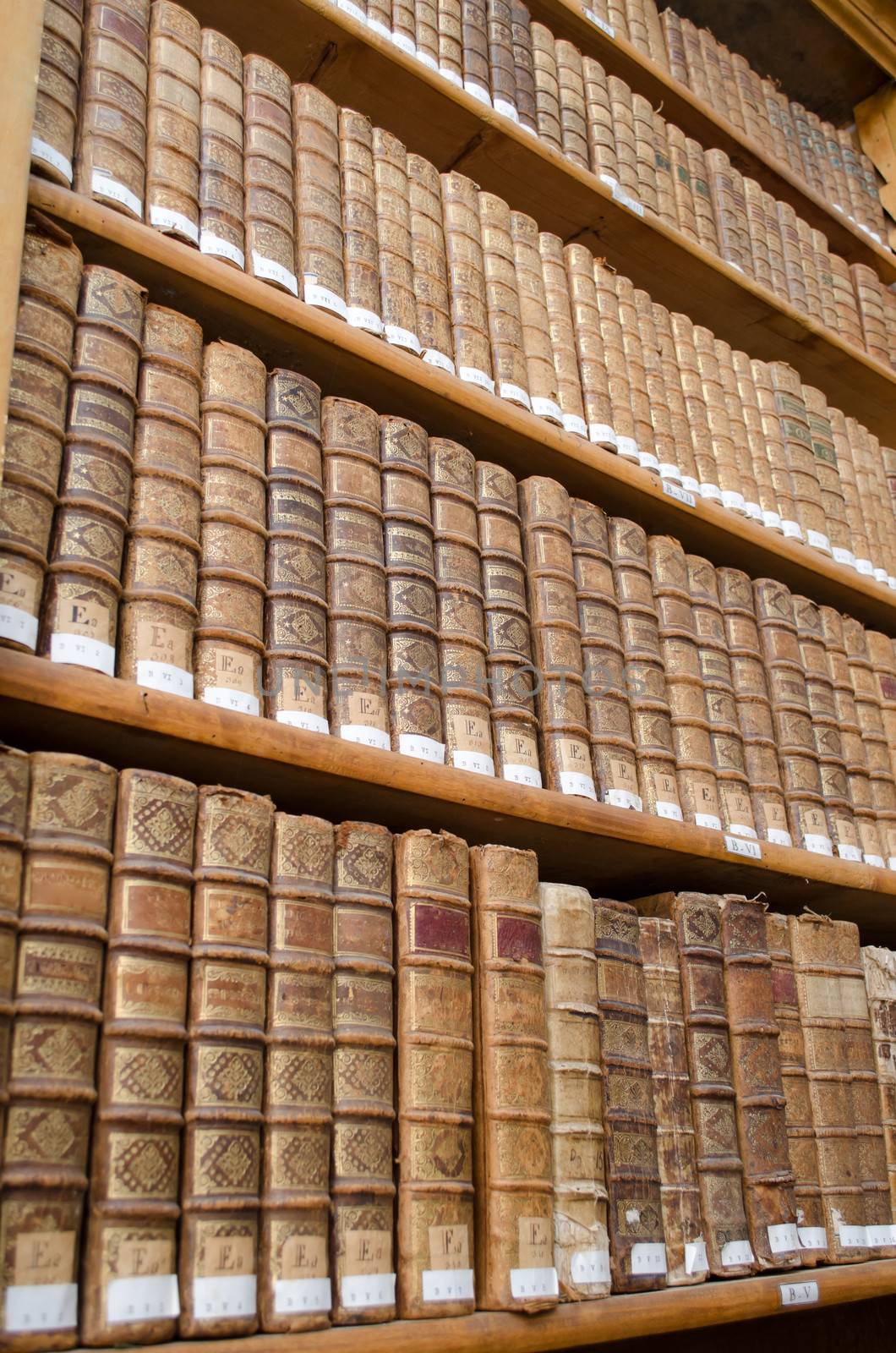 Shelves in antique library full of very old books