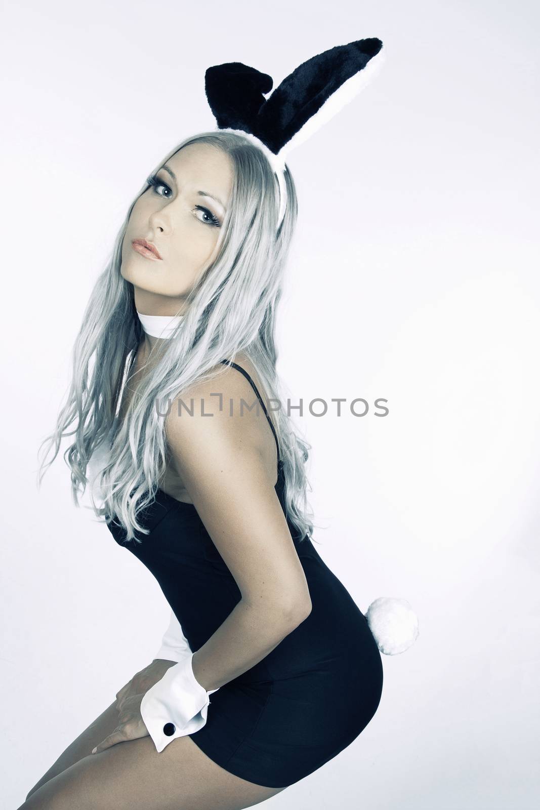 Sexy Blonde wearing sexy bunny costume 