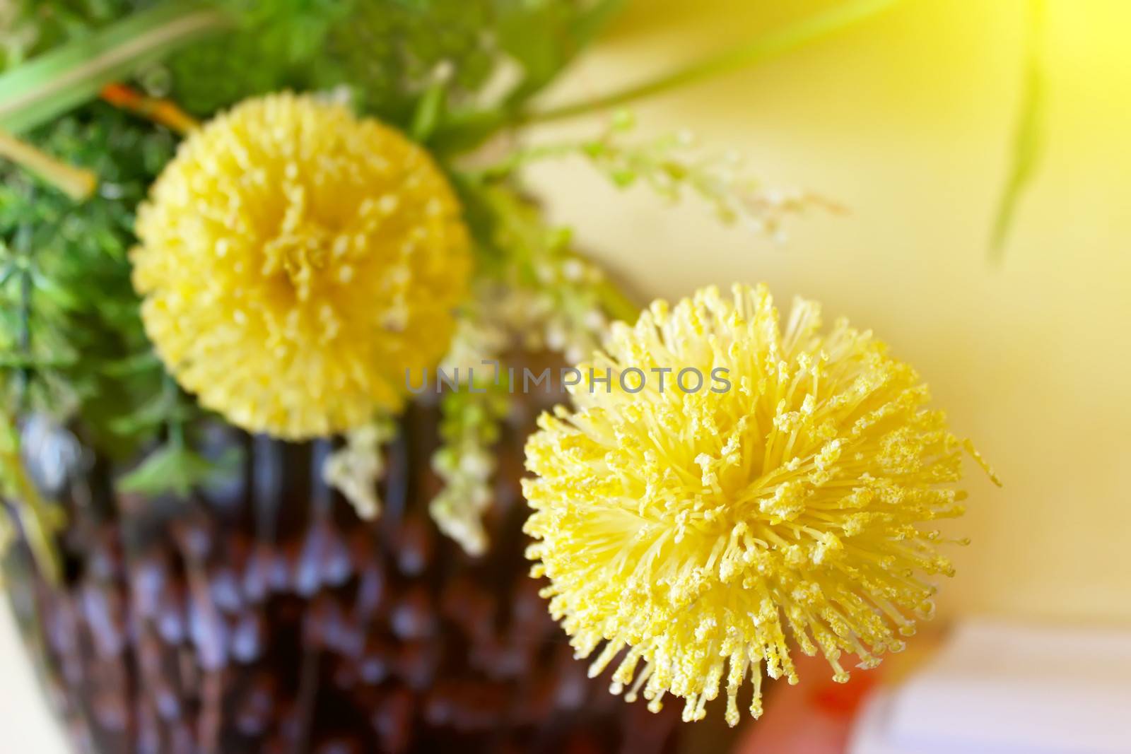 Macro view of yellow flower