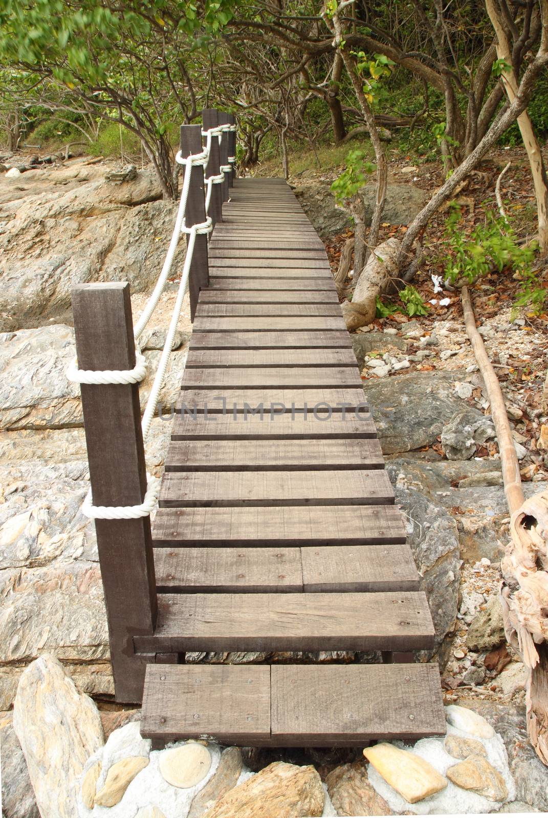 wooden walk way