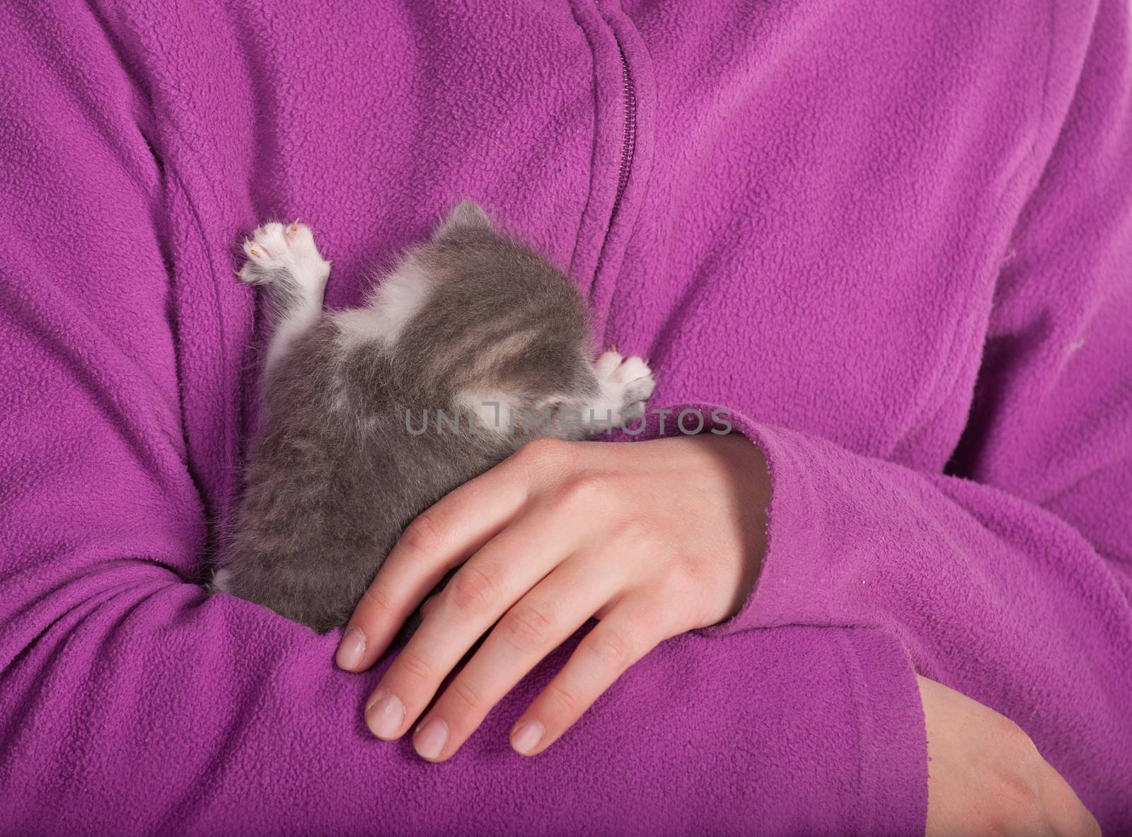 Girl embraces a baby cat.