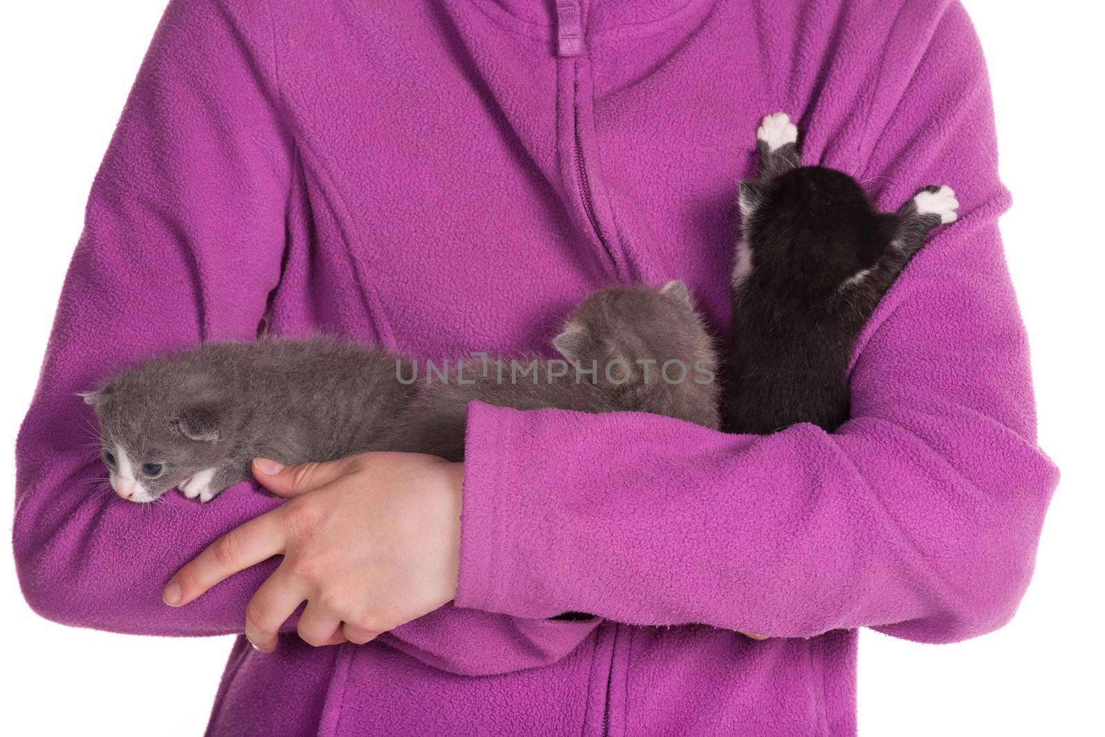 Girl holding three baby cats.