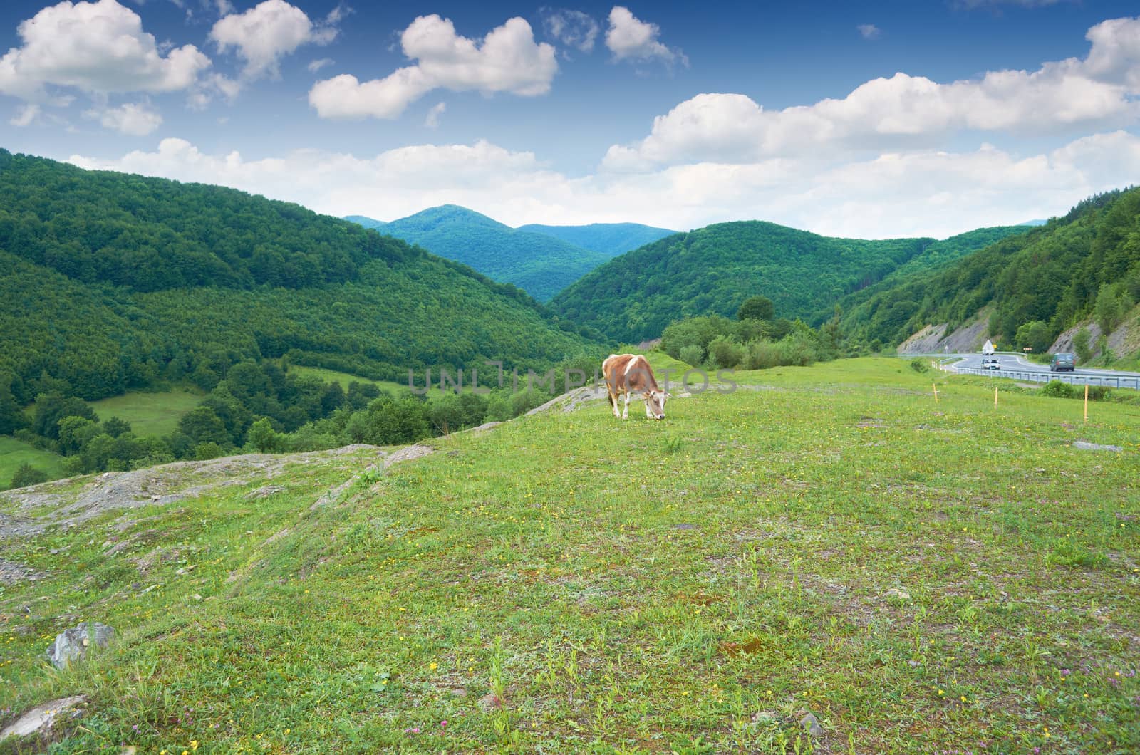 Beautiful mountain landscape on a summer day in Carpathians