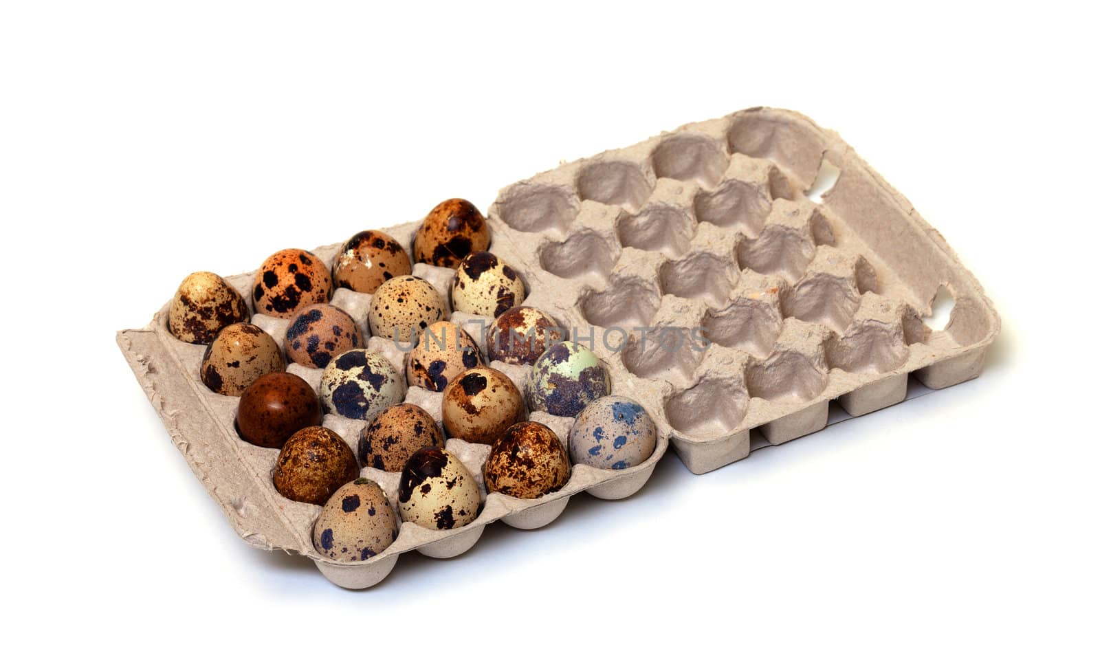 Speckled quail eggs in a carton box on white background