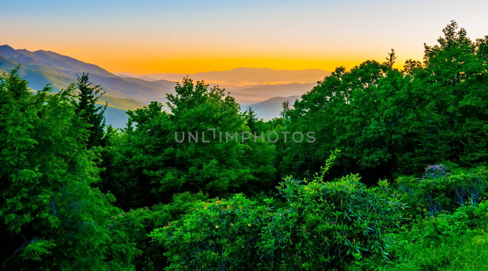 blue ridge parkway early morning by digidreamgrafix